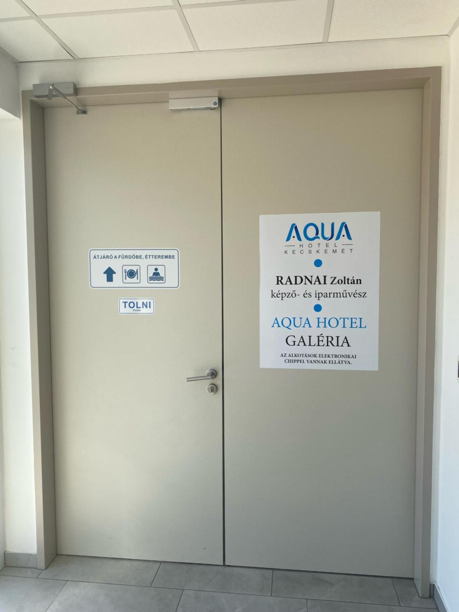 Aqua Hotel Kecskemét المظهر الخارجي الصورة